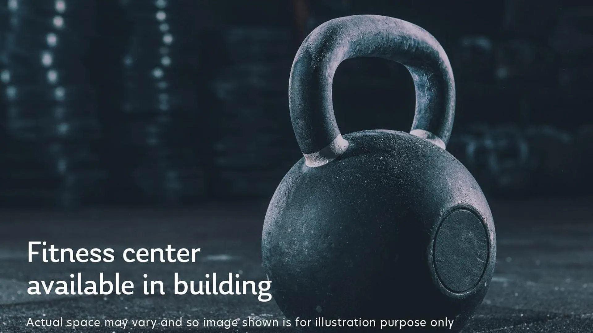 Blueground Sunrise Bay Tower 2 Sea View Gym Dxb-1010 Apartment Dubai